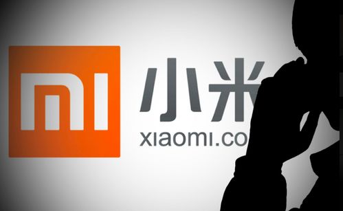 小米有品關聯公司經營范圍擴展，新增新能源汽車換電設施與票務代理服務