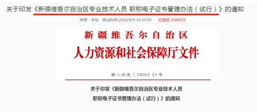 會計初級考生福音 信息技術咨詢服務助力證書查詢與打印